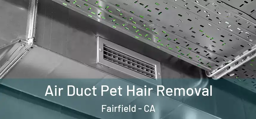 Air Duct Pet Hair Removal Fairfield - CA