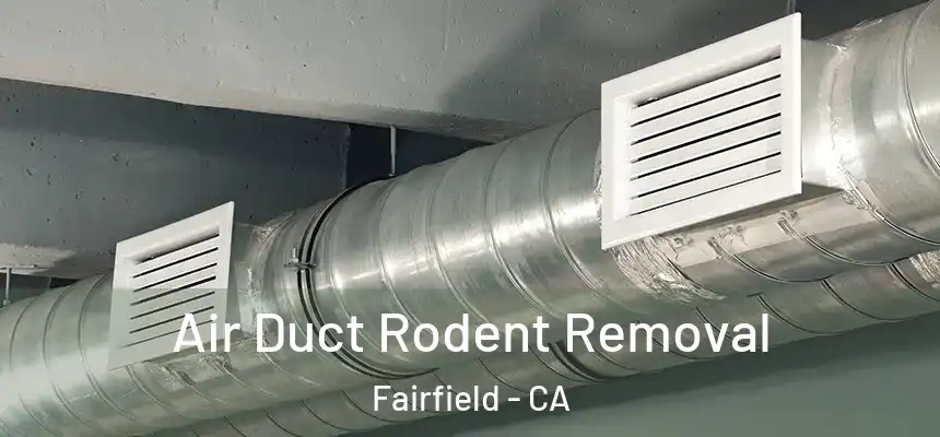 Air Duct Rodent Removal Fairfield - CA