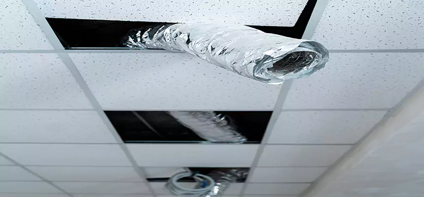 Our Air Duct Pet Hair Removal Services in Fairfield, CA