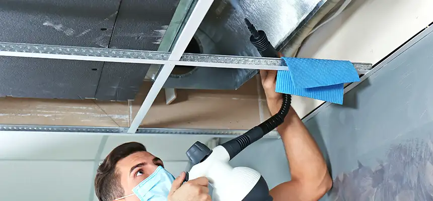 Our Air Duct Rodent Removal Services in Fairfield, CA