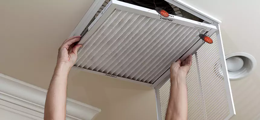Our Insect Removal from Air Ducts Services in Fairfield, CA