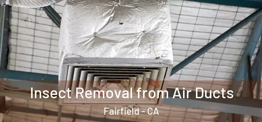  Insect Removal from Air Ducts Fairfield - CA