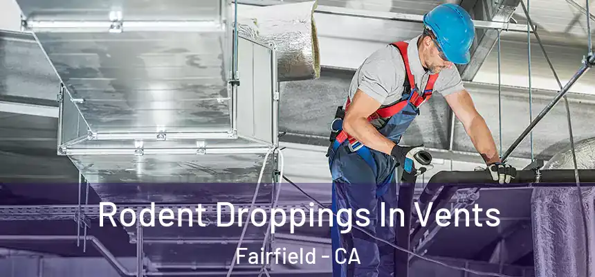  Rodent Droppings In Vents Fairfield - CA