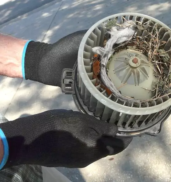 About Air Duct Mice Removal in Fairfield, CA