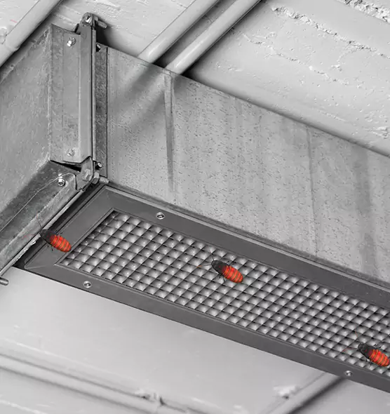 Affordable Insect Removal from Air Ducts in Fairfield, CA