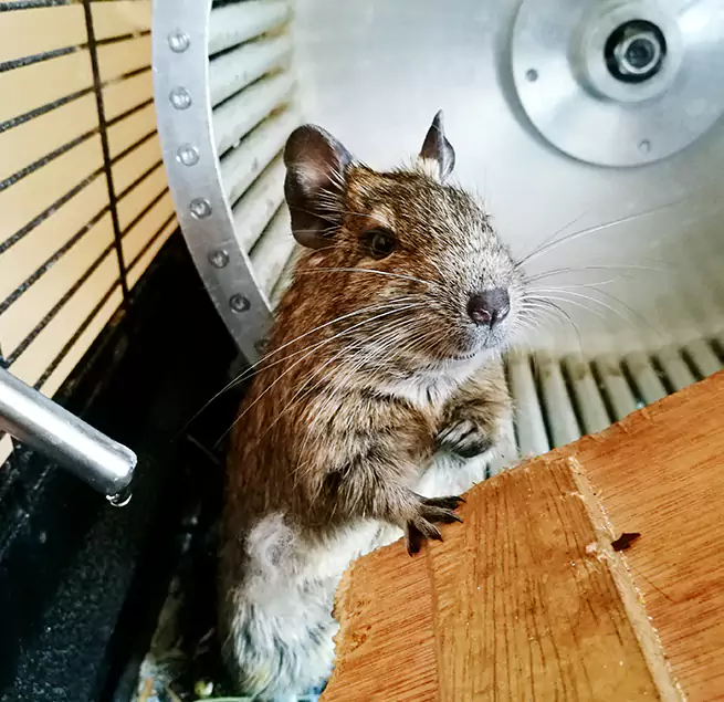 Why Homeowners & Businesses Trust Us Fairfield, CA?