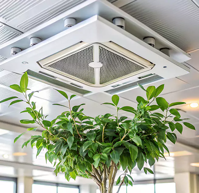 Why Homeowners & Businesses Trust Us in Fairfield, CA?